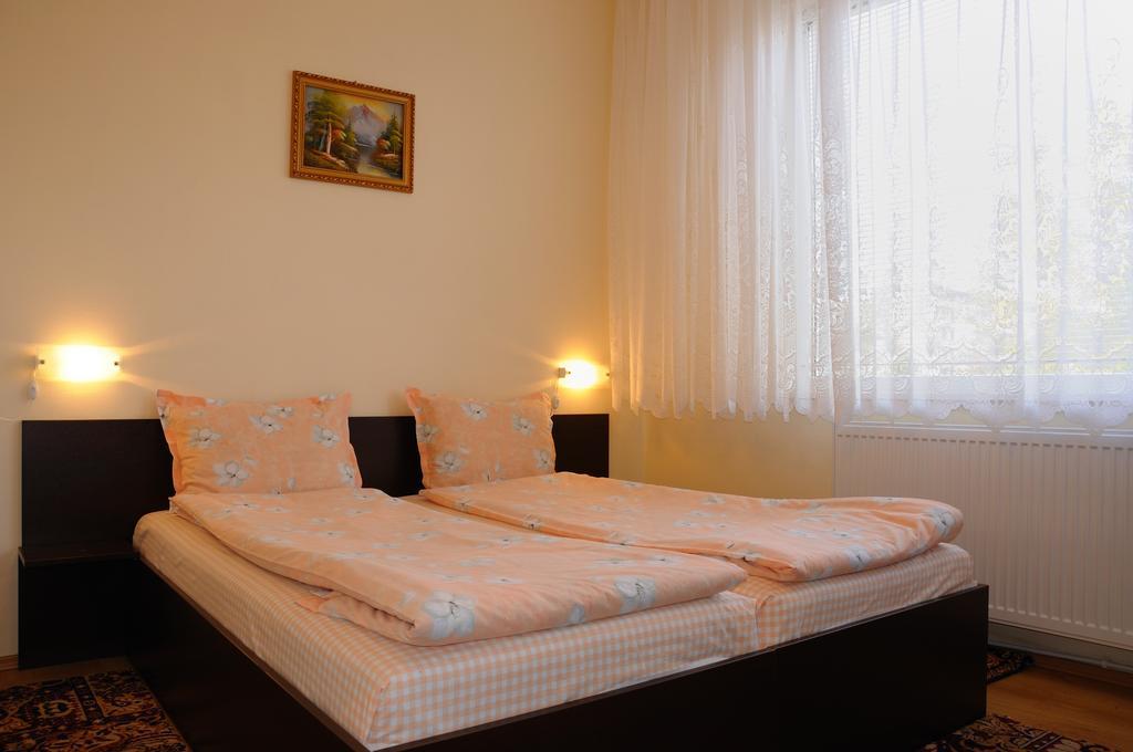 Sakutski House Hisarya Bilik gambar