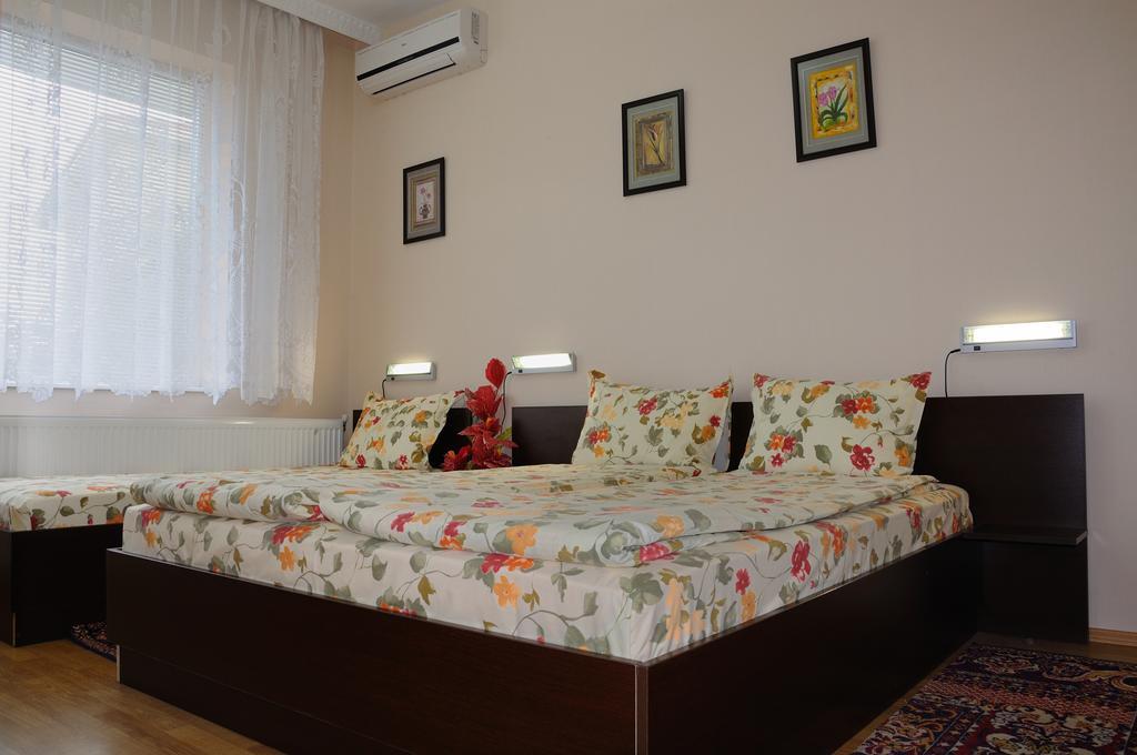 Sakutski House Hisarya Bilik gambar