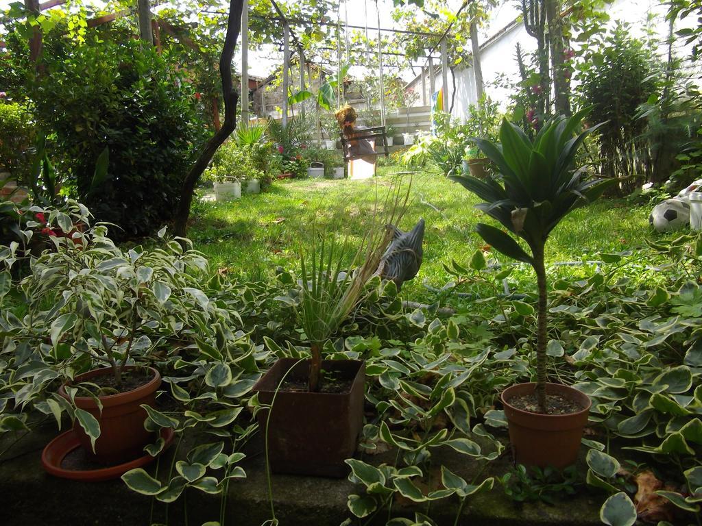 Sakutski House Hisarya Luaran gambar